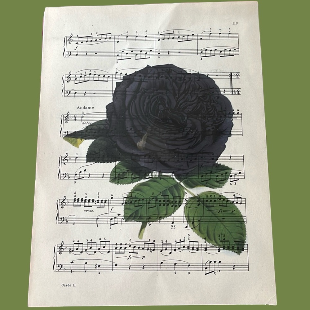 Black Rose Graphic Print - 8” X 11”